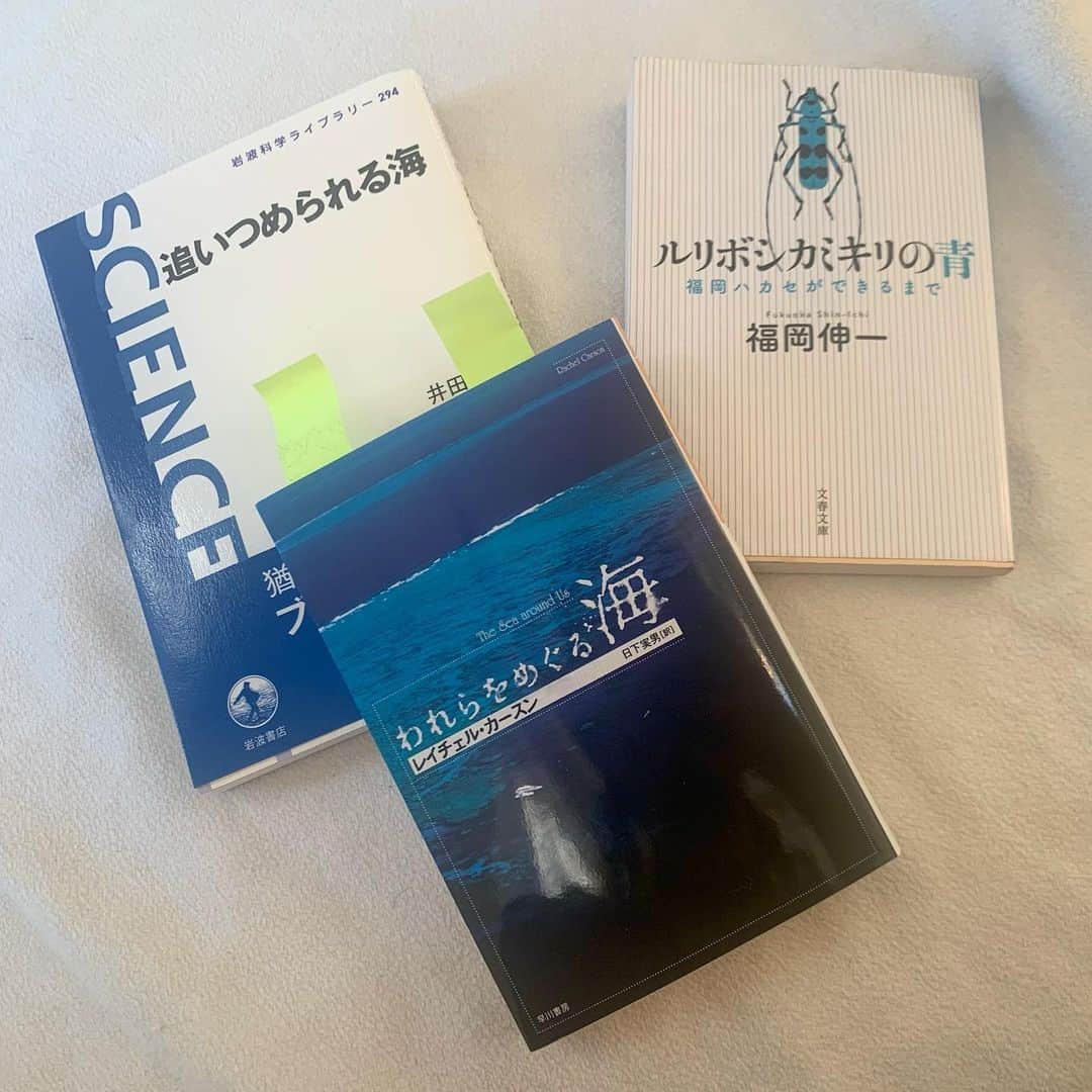 ノーマさんのインスタグラム写真 - (ノーマInstagram)「4時間近く続いた海の話に塩水が恋しくなる🐟🦑🐢🐬文明の利器にあやかりながら日米4都市繋いで大自然を紐解く取材と対談。興奮が止まらなさそうな旅の始まりです🌏  3枚目は最近読み返していた本🤤 4枚目は息抜きに今から読む本🤤  #earthscience #sea #blue #海」1月9日 19時02分 - noma77777