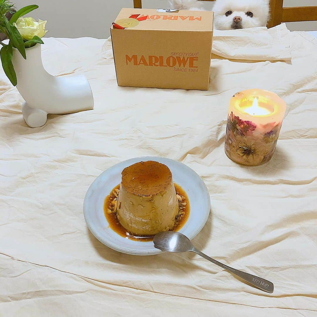 今吉めぐみさんのインスタグラム写真 - (今吉めぐみInstagram)「#おうちcafe﻿ ﻿ ﻿ この前、なちゅ @nachudesu1223 がお家に来てくれて﻿ 手土産にマーロウプリン持ってきてくれました✨🙇‍♀️🍮﻿ ﻿ ﻿ 重めのしっかりプリンで食べ応えあって﻿ 幸せ🍮💕﻿ ﻿ なちゅ様々🙇‍♀️🙇‍♀️﻿ ﻿ ﻿ 1枚目の写真﻿ 少し引くとこんな感じです(2枚目)﻿ 🐶w﻿ ﻿ ﻿ #マーロウ #プリン🍮 #pudding #homecafe #おうちかふぇ」1月9日 19時37分 - megu813