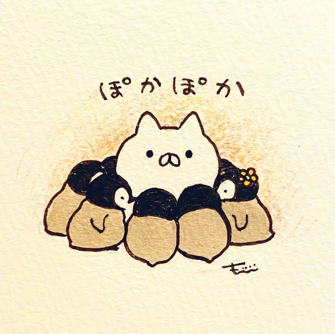 もじじのインスタグラム：「ネコロニー  #ねこぺん日和#ねこくん#ぺんちゃん#ぬくもり」