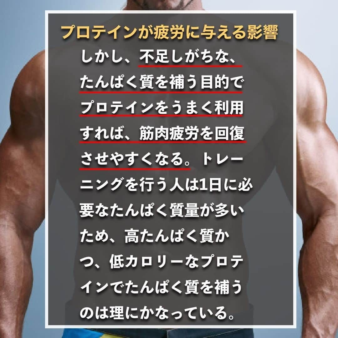 山本義徳さんのインスタグラム写真 - (山本義徳Instagram)「【プロテインは疲労回復にも効く?!】  プロテインは日常の疲労回復にも効果が期待されるサプリメントである。 しかし、やみくもにプロテインを摂取しても、十分な効果は期待できない。 今回は、プロテインの摂取が疲労にどのような影響を与えるかについて解説する。  是非参考になったと思いましたら、フォローいいね また投稿を見返せるように保存していただけたらと思います💪  #プロテイン #疲労回復 #ダイエット #筋トレ #筋トレ女子 #タンパク質 #バルクアップ #筋トレダイエット #筋トレ初心者 #筋トレ男子 #ボディビル #筋肉女子 #筋トレ好きと繋がりたい #トレーニング好きと繋がりたい #トレーニング男子 #トレーニー女子と繋がりたい #ボディビルダー #筋スタグラム #筋肉男子 #筋肉好き #筋肉つけたい #プロテインダイエット #プロテイン女子 #トレーニング大好き #トレーニング初心者 #エクササイズ女子 #山本義徳 #valx #疲労回復メニュー #疲労回復効果」1月9日 20時00分 - valx_kintoredaigaku