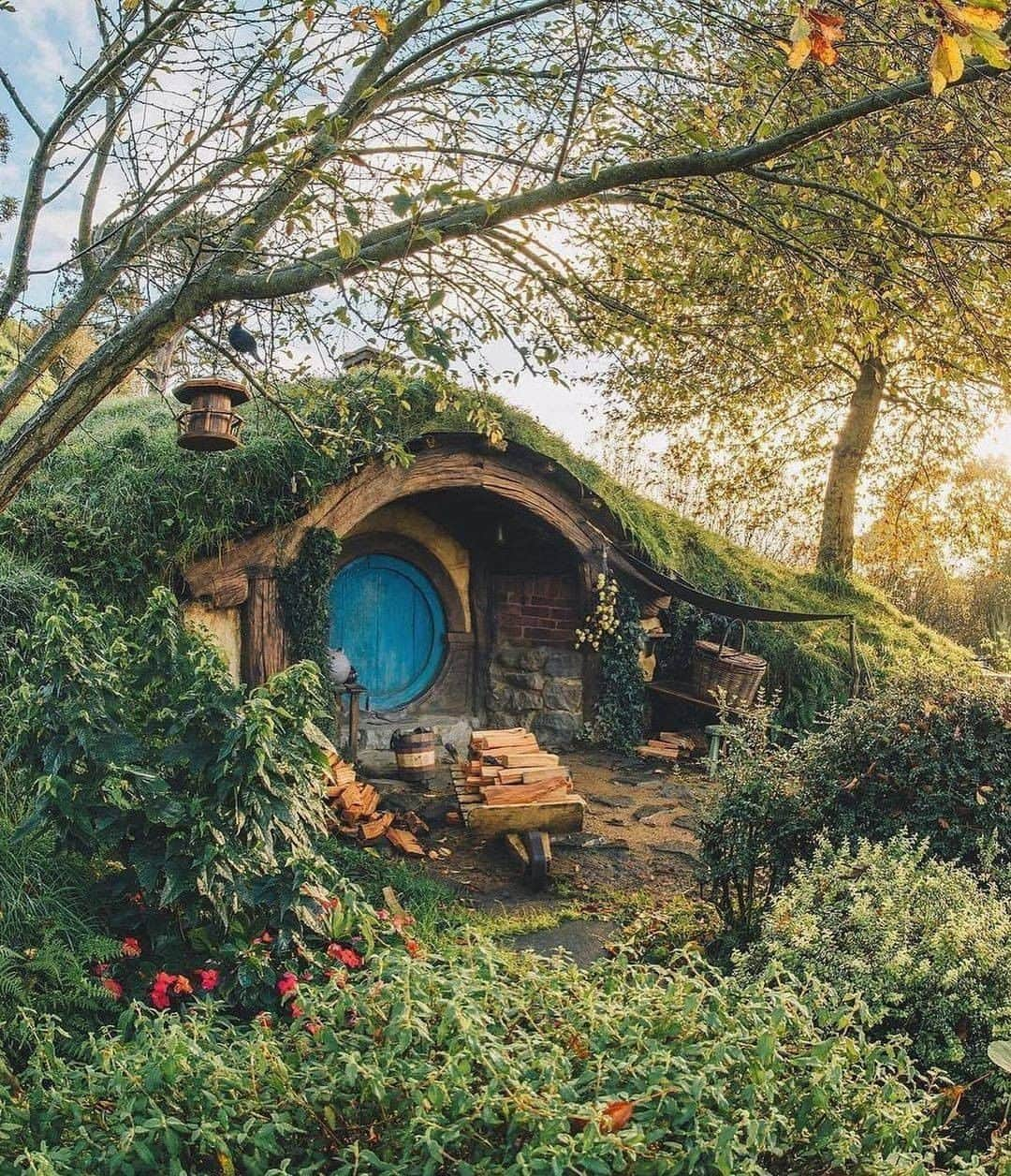 Discover Earthさんのインスタグラム写真 - (Discover EarthInstagram)「How do you feel about living like a hobbit? If you love all things Tolkien-esque, a pilgrimage to New Zealand’s epic Lord of the Rings film sites is an absolute must. Fans of the trilogy will be enthralled by the picturesque landscapes that gave life to Middle Earth, as well as the artistic creations that made this fantasy world even more realistic. The village of Matamata is home of the Hobbiton movie set.  🇳🇿 #discovernewzealand with  @shaun_jeffers  . . . . .  #hobbiton  #hobbit  #lordoftherings  #photography  #bagend  #thelordoftherings  #auckland  #roadtrip  #holiday  #nzmustdo  #travelgram  #hobbithole  #movieset  #northisland  #bilbobaggins  #nature  #tolkien  #hobbitontours  #adventure  #travelphotography  #hobbithouse  #middleearth  #thehobbit  #hobbitonmovieset  #theshire  #matamata  #travel  #newzealand」1月9日 20時00分 - discoverearth