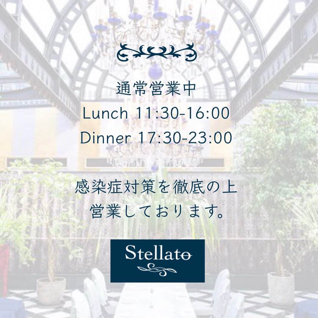 ステラートのインスタグラム：「・ みなさまこんにちは☕️ ステラートでは通常通り営業を行っております。  Lunch 11:30-16:00 Dinner 17:30-23:00  お席の間隔の確保 こまめな消毒 定期的な換気等、感染症対策を徹底の上営業致しております。  #ステラート #stellato #アフタヌーンティー #アフタヌーンティー巡り #afternoontea  #スイーツ #sweets #紅茶 #teatime #cafe #カフェ #白金 #プラチナ通り」