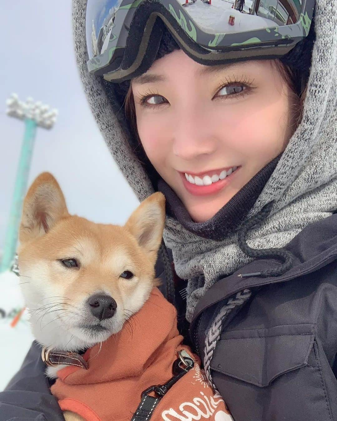 本条舞さんのインスタグラム写真 - (本条舞Instagram)「ころちゃんと雪山🗻💕  #本条舞 #モデル #タレント #女優 #model #actor #actress #豆柴 #柴犬 #mameshiba #shibainu」1月9日 20時30分 - mai_honjyo_official