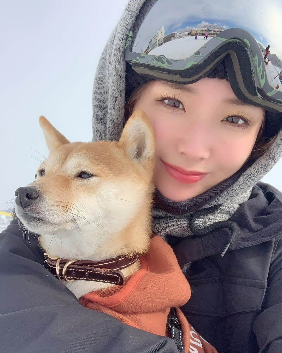 本条舞さんのインスタグラム写真 - (本条舞Instagram)「ころちゃんと雪山🗻💕  #本条舞 #モデル #タレント #女優 #model #actor #actress #豆柴 #柴犬 #mameshiba #shibainu」1月9日 20時30分 - mai_honjyo_official