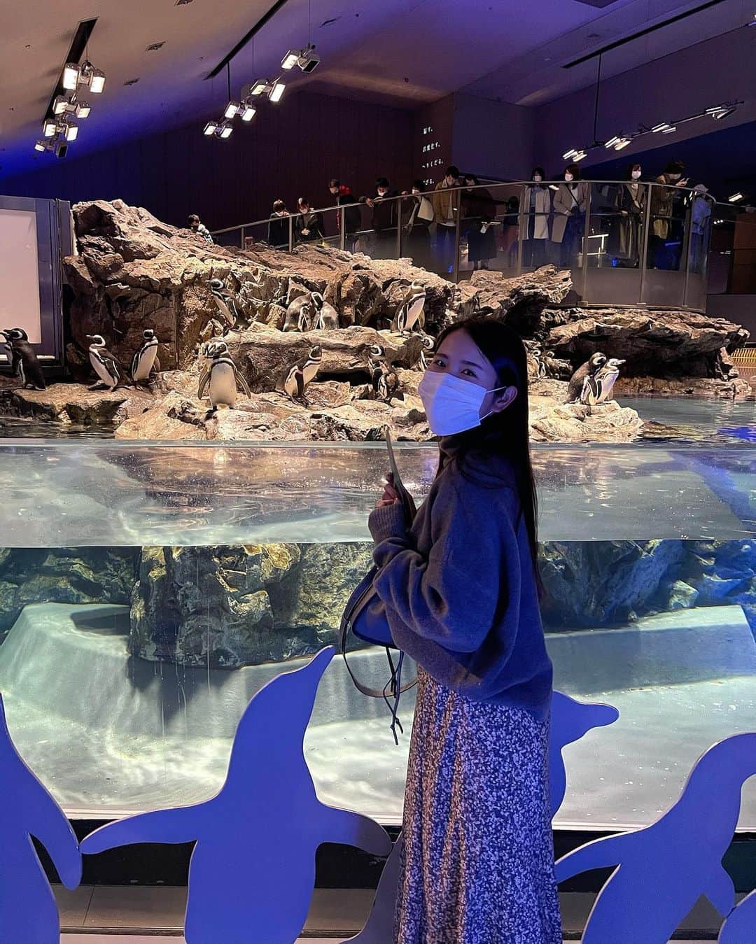 田中響子さんのインスタグラム写真 - (田中響子Instagram)「だいすきペンペン🐧 水族館の中ですみだ水族館が1番好き。」1月9日 21時01分 - coco.golf
