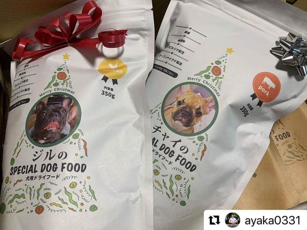 のインスタグラム：「食べてくれて嬉しいいいいい😂💕 浜﨑さんありがとうございます🙇‍♀️ ・ #Repost @ayaka0331 with @make_repost ・・・ ジルチャイに一足遅い狩野サンタさんが来てくれました♡  なにこれかわいすぎる！  ジルチャイもすっごく食いついて食べてました😊  パッケージの写真を変えれるのめちゃくちゃいい！！  狩野さん @kanochan715 ありがとうございました☺️  #狩野舞子 さん #ペット学園 #究食ごはん」