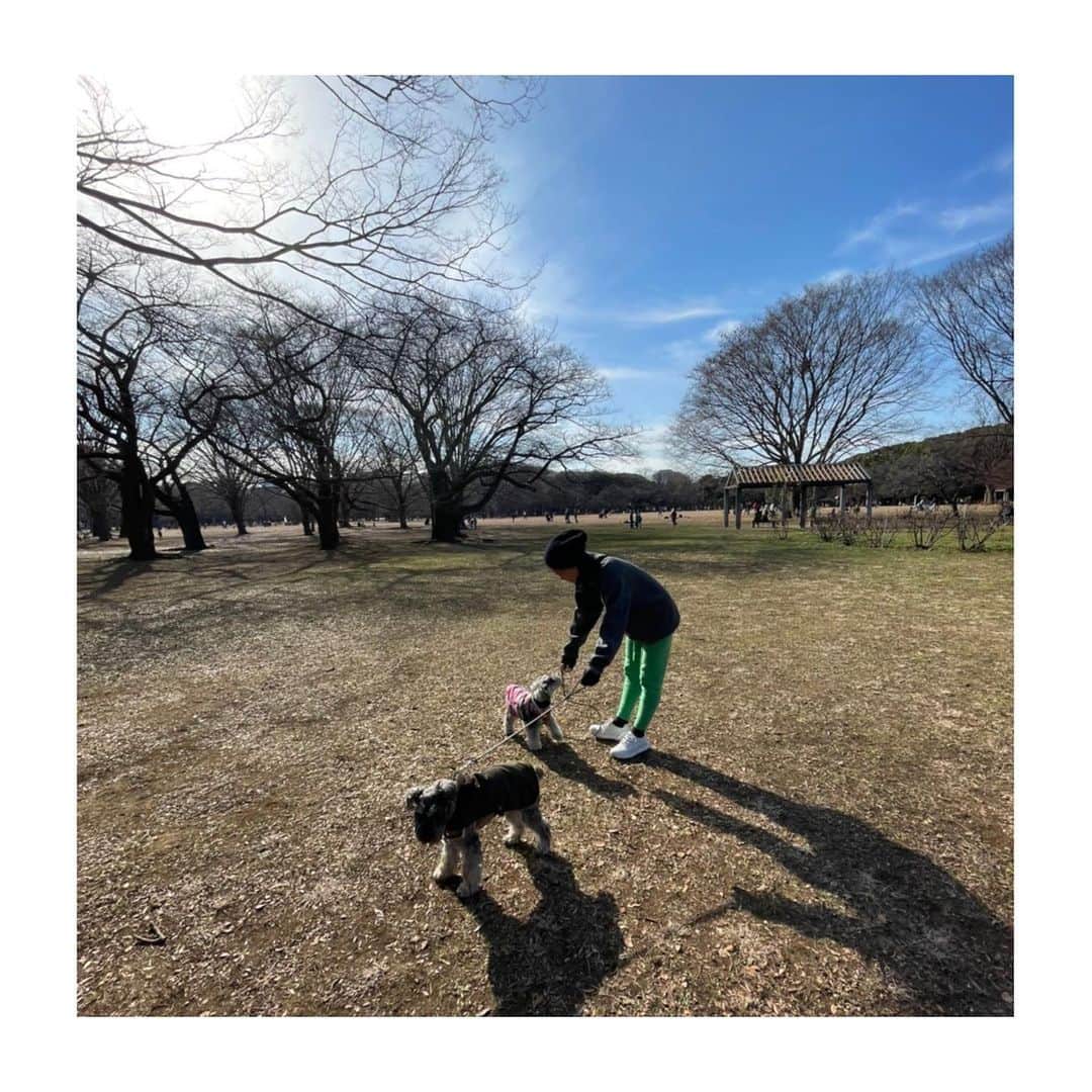 HiRAO INCのインスタグラム：「. 去年から、体力を強化する為に、近所を頻繁に歩くようになり、お散歩アイテムがかなりふえました  今の時期は、首、手首、足首の防寒に、カシミア素材が軽くて暖かくて大活躍  ヘレン カミンスキー @helen_kaminski のカシミアのニット帽は軽くて優秀  パンツはカシミアのバリエーションが最近増えたよね。 オススメはリサイクルカシミアを使っている価格も手頃な @nanushka や、カラーバリエーションが豊富な友人の佐々木敬子ちゃんのブランド マイランを @keikosasaki_mylanをオンラインで購入。  完売してもう購入ができないけれども、早坂かずこちゃんが佐藤紡績と手がけた日本産のカシミアのセットアップも軽くて素晴らしかったな。  手袋は、無くすし、携帯が使える機能が必須なので、コンビニで売っている手頃な手袋を買ってます  ウォーキングは正しくやると、体重、内臓、血流などなど、心身共に凄く整います 私は平日は寝る前に3-40分歩いて、1週間で平均7000歩を歩くようにバランスとってます  Hat @helen_kaminski  Neck wamer @plan_c_official  Tops @plan_c_official  PANTS @keikosasaki_mylan  Shoes @clergerie  #mutsulannsora」