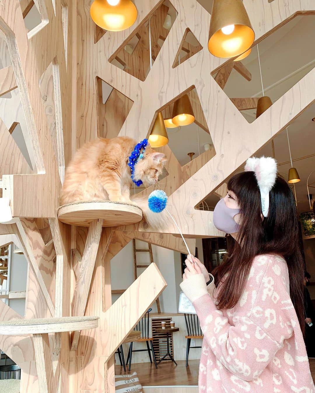 浅井麻里のグルメインスタ