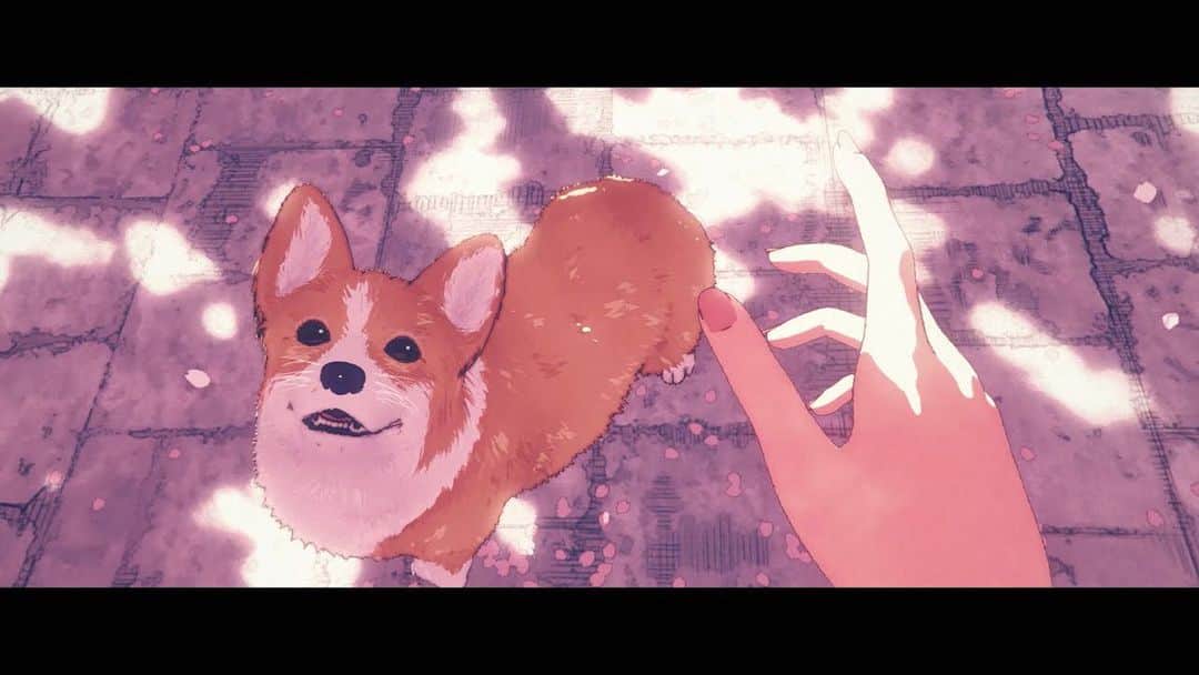 のインスタグラム：「.﻿ ヨルシカ 新曲「春泥棒」ミュージックビデオを公開しました。﻿ ﻿ ディレクターは森江康太さん。 ヨルシカ Official YouTube チャンネルよりご覧ください。﻿ ﻿ ヨルシカ Official Video「春泥棒」 https://youtu.be/Sw1Flgub9s8 ﻿ ﻿ また、「春泥棒」の楽曲配信も開始しました。﻿ 各ダウンロードサイト/サブスクリプションにて是非、お聴きください。﻿ https://VA.lnk.to/SpringThief﻿ ﻿ ﻿ #ヨルシカ #春泥棒 #創作」