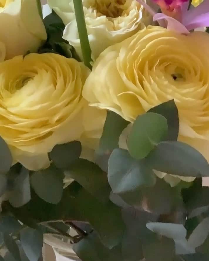 吉竹美聡のインスタグラム：「嬉しい花束💐🎼🕊✨」