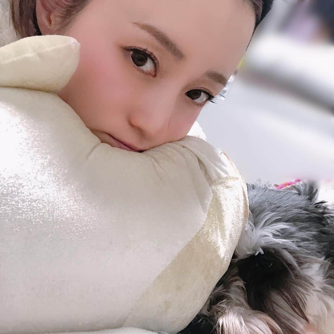 たかはしゆいさんのインスタグラム写真 - (たかはしゆいInstagram)「・ きぃたんとごろごろ てか、おでこ…ひろっ😂😂😂 ・ #愛犬との暮らし  #きぃたん  #おでこ  #叩きたくなるおでこ  #デコピンしたくなるおでこ  #ゆいりん  #たかはしゆい  #おうち時間  #愛犬とらぶらぶ」1月9日 21時10分 - t.yuirin