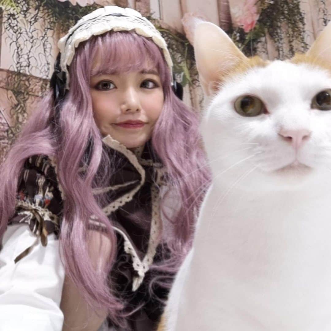 美環のインスタグラム：「イベント用の写真を撮ってるよっ💃📷🍊 早くも主役を奪われそうなんだけどー！(｡>﹏<｡)😼✨」