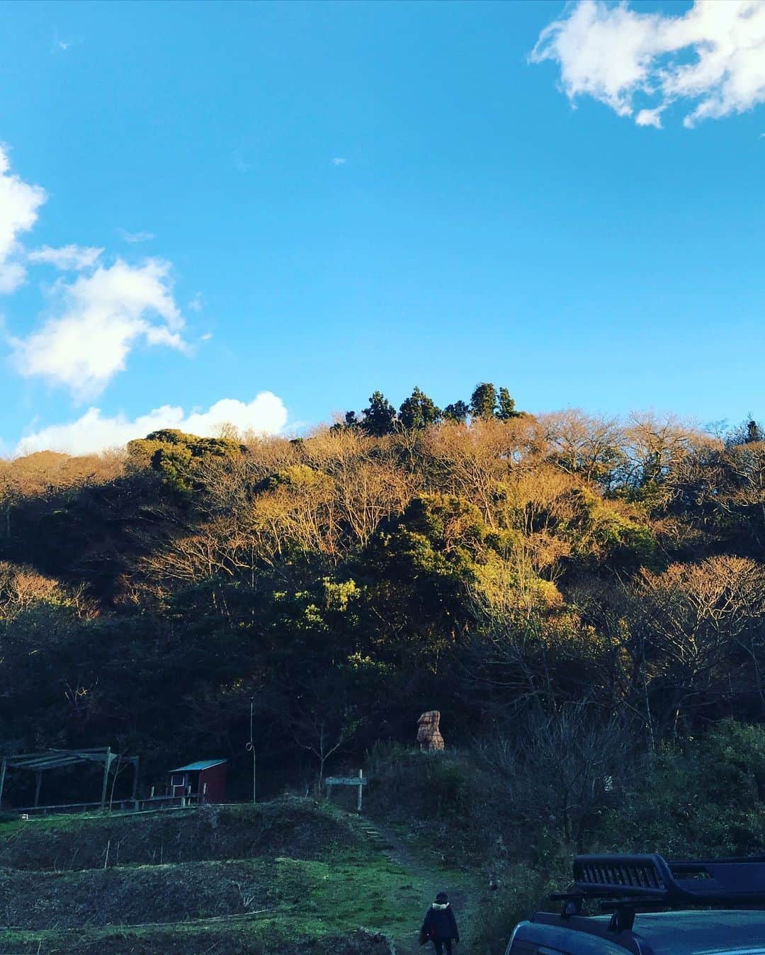 有坂美香さんのインスタグラム写真 - (有坂美香Instagram)「今日という日のどこを切り取ってもシアワセでございました🙏✨  #光風andgreenmassive  #gravityfree  #syokuyabo農園  #野外」1月9日 21時12分 - mikaarisaka