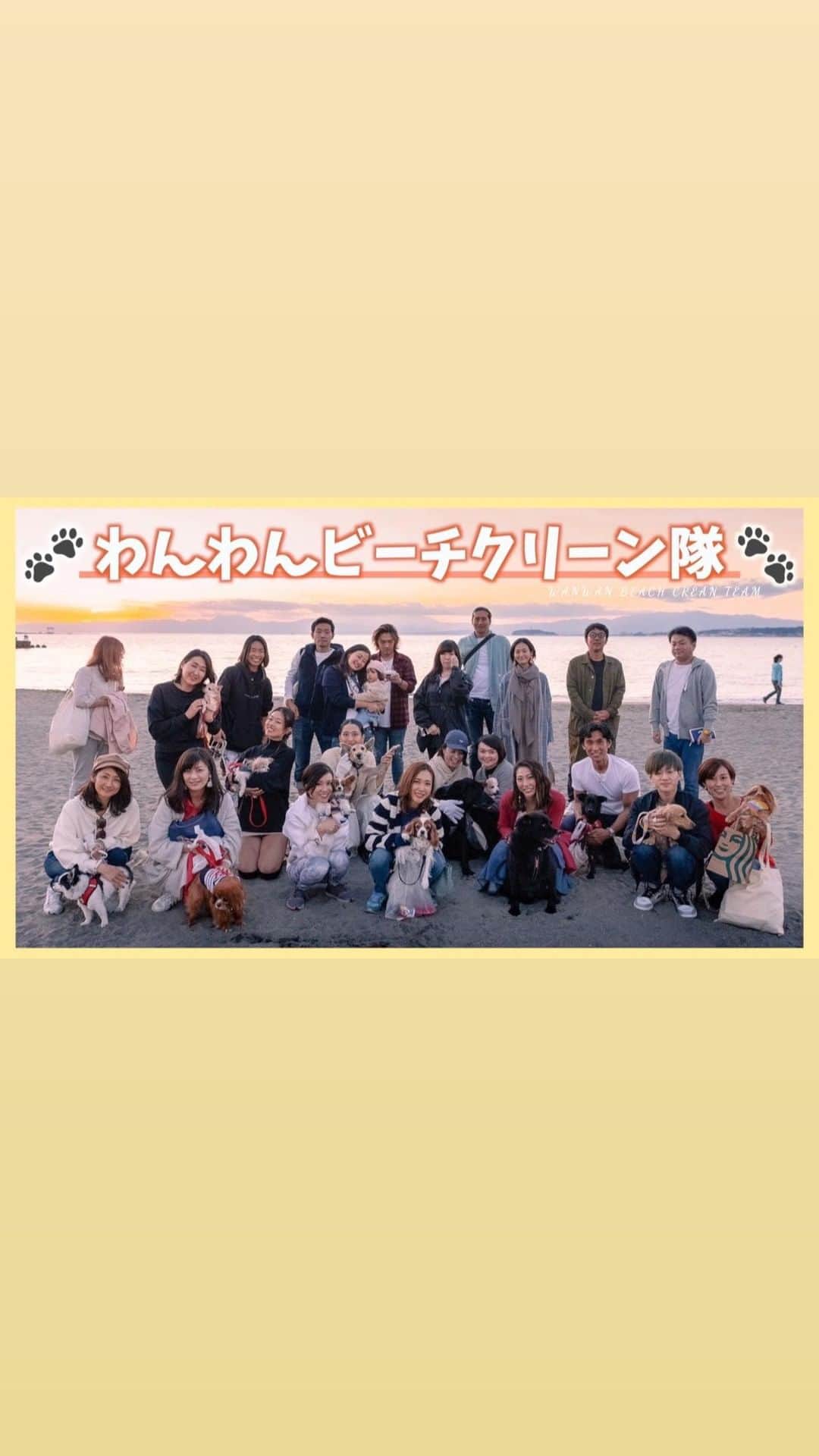 のインスタグラム：「前回の#ビーチクリーン の様子を﻿ YouTubeにアップしました✨﻿ ﻿ 次回は3月20日です🐶﻿ ﻿ 定期的にビーチクリーン＆﻿ トーク会を開催しています🌈﻿ ﻿ トーク会の様子は @senior_dogs_life のLIVEでも お届けしたいと思います✨  #わんわんクリーン隊  #森戸海岸 #ゴミ拾い #eco #エコ  #保護犬  #葉山 #hayama ﻿」