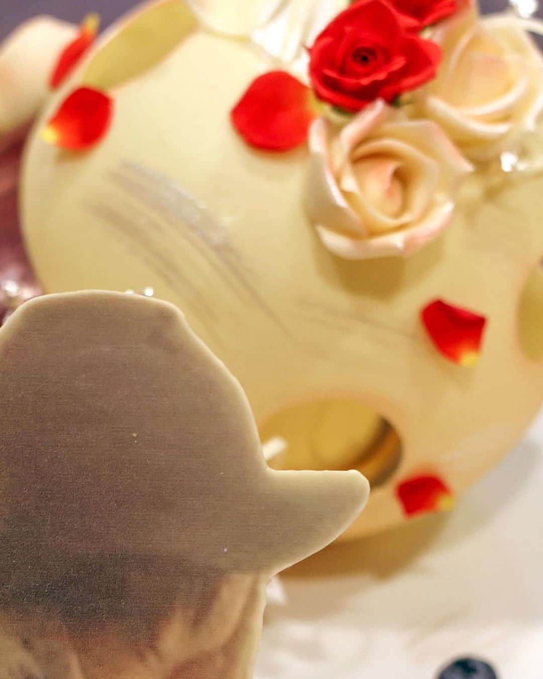 きょん。さんのインスタグラム写真 - (きょん。Instagram)「.  .  POIRE 帝塚山本店 @poire.jp  我が家はもともと 少食なので(ぼく除く)、 ホールケーキで お祝いするという文化がなく。  それはもちろん今でもそうで、 仮にホールケーキを自分宛に買っても なかなか食べきることもできないので、 そもそも バースデーホールケーキでお祝い、という 発想もなくてですね。  毎年カットケーキを 美味しくいただいてきました。  もちろんそれはそれで とても幸せなことです。  ですがやっぱり "ホールケーキでお祝いしてもらう” という夢もないこともなくって。  という話をですね、 POIREのグランシェフ @poire_tsujii さんにしたところ、 まさかまさかのサプライズで…。  ぼくが見つめる先にぼくがいて そのぼくが見つめた先にあったのは ぼくだけが食べることができる 手のひらサイズの"きょん。ショートケーキ"。  手が震えて 手ぶれ補正抜群の一眼も 手ぶれを起こしたレベルで 心の底から感動したPOIRE物語。  そのときの映像は LINE公式アカウントにて流しておりますので、 よければそちらも 見てやってください🥺  #poire#ポアール #osaka#osakasweets」1月9日 21時43分 - kyon_tokiiro