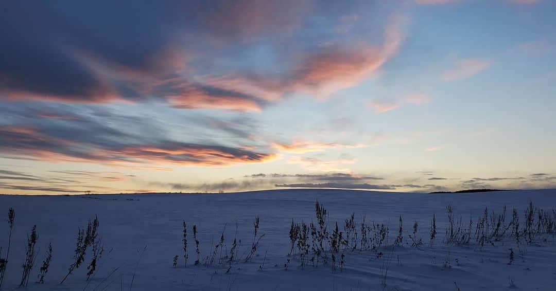 近江谷杏菜さんのインスタグラム写真 - (近江谷杏菜Instagram)「🌥️  写真を撮ってる数分の間にも みるみる変化していく空の色。  5分後には雲ってしまい真っ暗に。 良いタイミングで見られてラッキーでした😊  #空 #きょうの空 #空が好き #今日のラッキー」1月9日 21時58分 - annaohmiya12