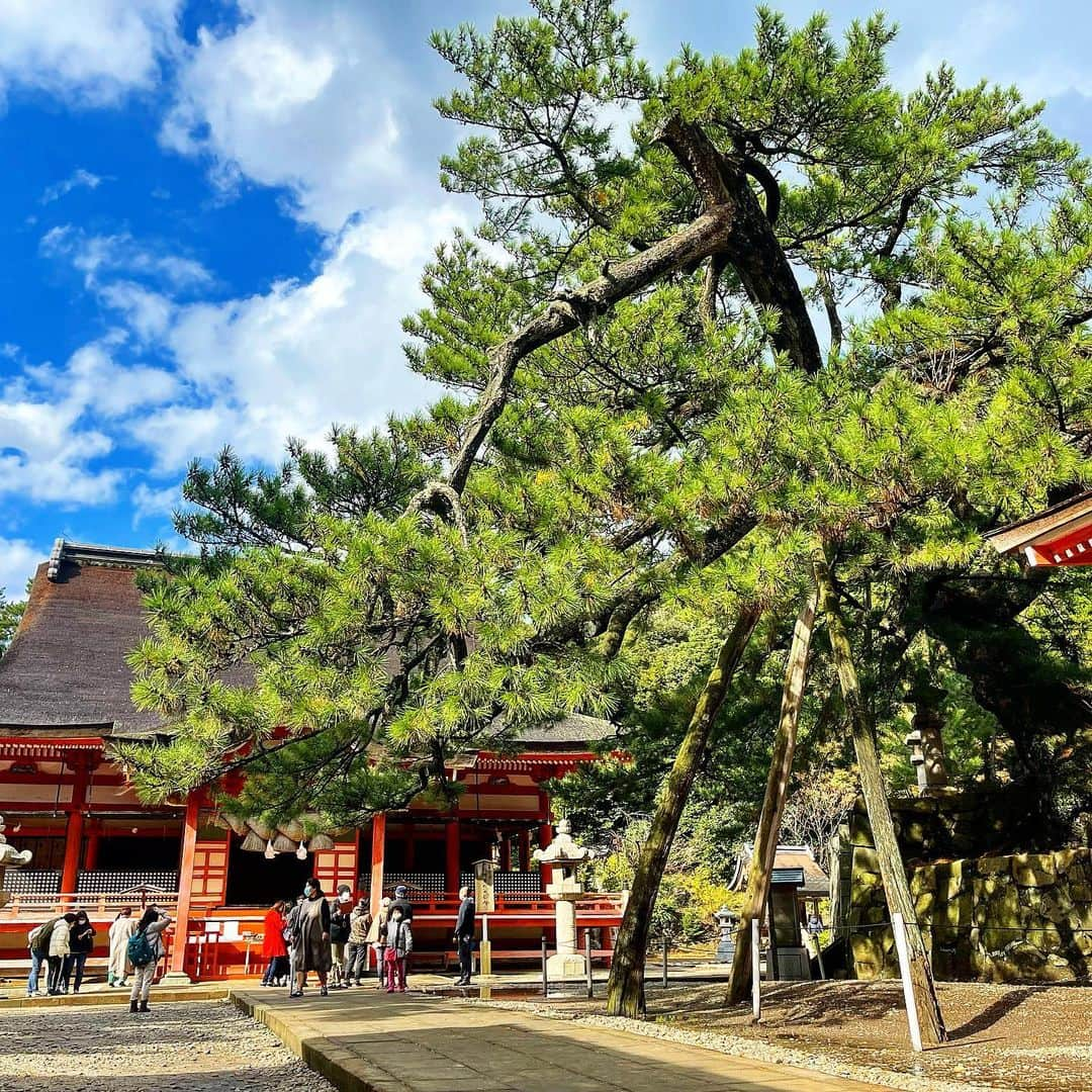 あっくんさんのインスタグラム写真 - (あっくんInstagram)「#日御碕神社  超絶最高な空間だった。 気持ちいい。とにかく気持ちいい。 プラズマクラスターの何倍も気持ち良い！！ 伊勢神宮が日本の昼を守る神社であり、日御碕神社は夜を守る神社なんでっす！  日御碕エリアは空間も景色も食も土産もどれもが最高。 島根県に行ったら絶対また行く！ #島根県 #日御碕 #パワースポッチャー」1月9日 22時00分 - akkun_shibuya