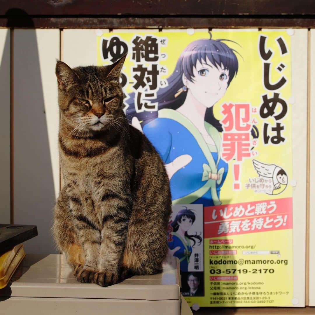 ををつかのインスタグラム