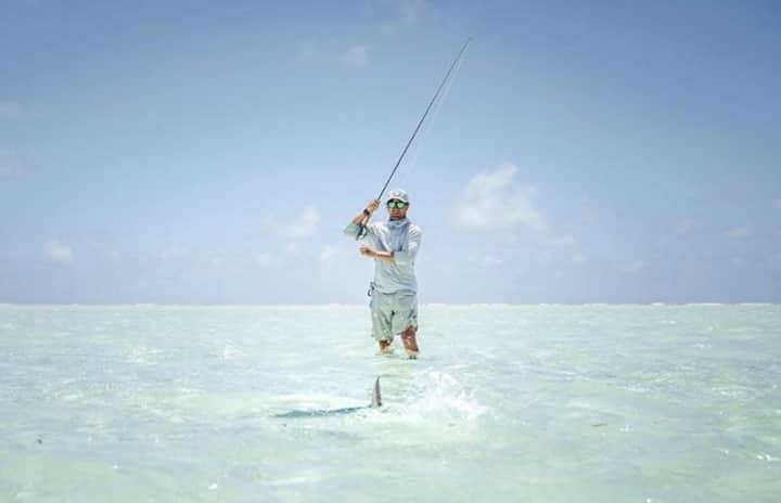 Costa Sunglassesのインスタグラム：「Feathering the fin. 📷: @alphonsefishingco @keithroseinnesflyfishing #SeeWhatsOutThere #BornOnTheWater」