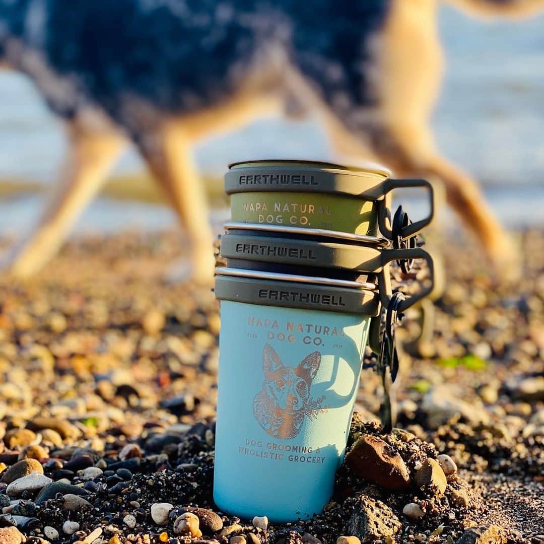 Dogs by Ginaのインスタグラム：「Cheers! Head into the new year with our stainless steel reusable pint cups by @earthwell . Buy online or pick up at your next apt. 4 color options for every mood this week has brought 😉」