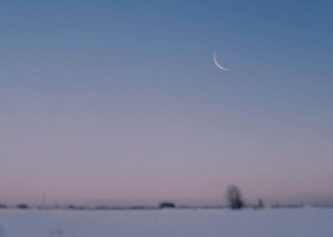 のインスタグラム：「-13°c  ﻿ ﻿ ﻿ ﻿ ﻿ ﻿ ﻿ ﻿ ﻿ ﻿ ﻿ ﻿ ﻿ ﻿ ﻿ ﻿ #xt3 ﻿ #fujifilm_xseries ﻿ #ig_hokkaido #instagramjapan #ig_japan_  #ifyouleave #vscocam #still_life_mood #reco_ig #nature_brilliance #ig_eternity #heart_imprint  #infinity_softly ﻿ #daily_photo_jpn #photogram_archive #moody_photograph #moody_grams #ig_phos #phos_japan #as_archive  #into_the_screen ﻿#moon  #moon_of_the_day #landscapephotography  ﻿ ﻿ ﻿ ﻿」