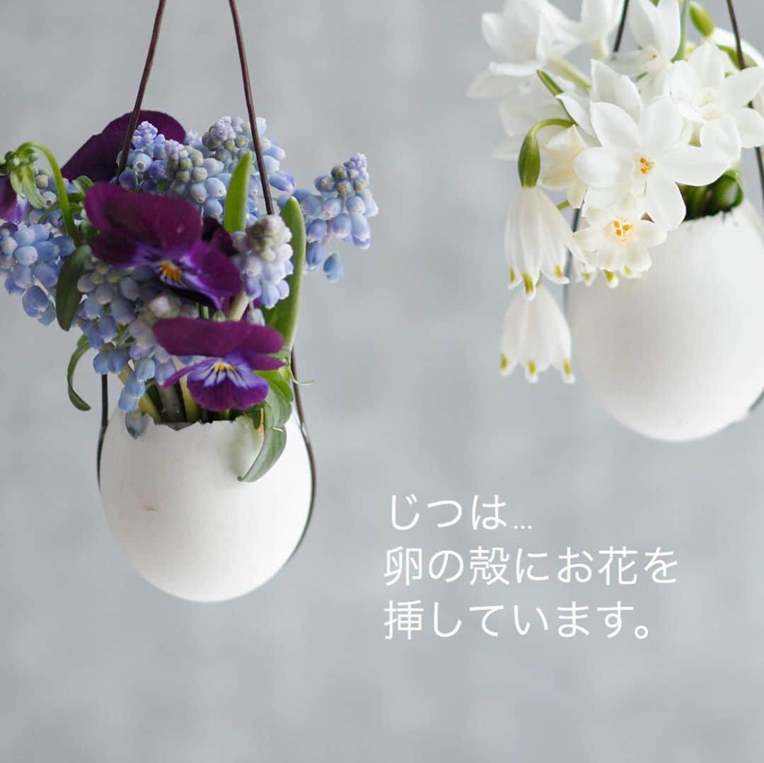 雑誌『花時間』さんのインスタグラム写真 - (雑誌『花時間』Instagram)「おはようございます。水が漏れなければ、何でも花の器になります。﻿ ﻿ 冷蔵庫の中の卵🥚だって！﻿ ﻿ 作り方をpicで﻿ ご紹介しておいたので、﻿ 卵料理🍳を食べたい日に﻿ トライしてみて。﻿ ﻿ 小さな花専用の卵の器。﻿ ﻿ 庭やベランダの﻿ お花を挿して﻿ お友だちに﻿ 差し上げてみませんか？﻿ ﻿ 人と人が﻿ なかなか繋がれない﻿ 今日この頃。﻿ ﻿ 幸せな贈り物になりそうです。﻿ ﻿ あっ！卵の殻だから、﻿ 取り扱いは﻿ くれぐれも慎重に〜🙏﻿  ★補足 投稿後、フォロワーさんから 教えていただいたことですが、 殻の内側にロウを流し込むと 割れにくくなるそうですよ〜。  では、本日も元気smile😊😊😊で楽しい休日をお過ごしくださいね。by ピーターパン﻿ ﻿ ﻿花 @rafleuriste  写真 @satomi.ochiai78  ﻿ ﻿ ﻿ #flowers #flowerslovers #flowerstagram #flowerarrangement  #花時間 #花時間2021  #花好き #花藝 #花好きな人と繋がりたい #花が好きな人と繋がりたい #花のある生活 #花のある暮らし #花を飾る #花を飾る生活  #ムスカリ #パンジー  #スイセン #球根植物 #小さな花  #ミニアレンジ  #かわいい花 #きれいな花  #おうち時間 #卵  #ビタミンf #花屋さんへ行こう」1月10日 8時21分 - hanajikan_magazine