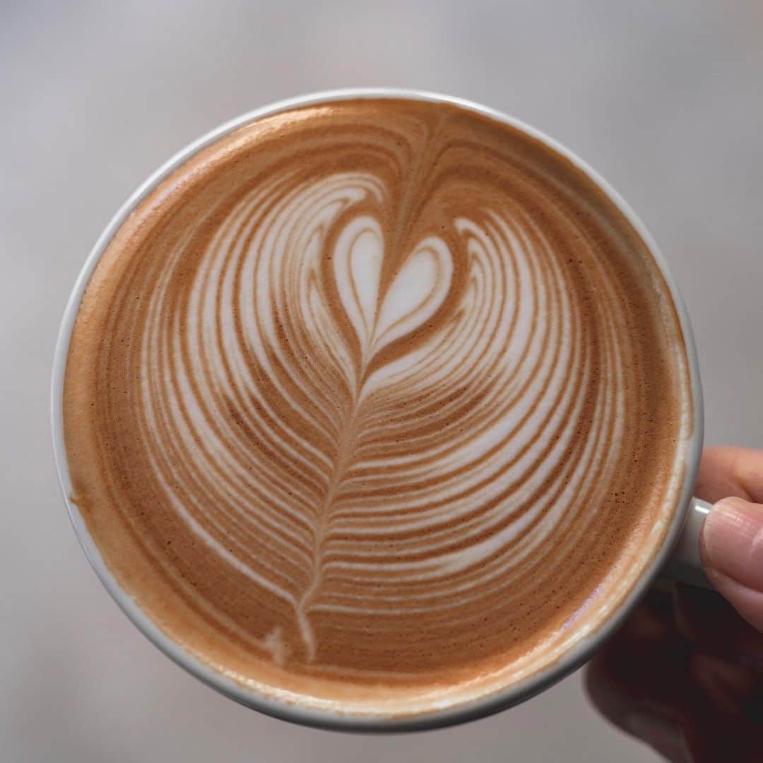 山口淳一のインスタグラム：「Good morning coffee. -2℃の朝。 手が凍る。 — #japan #kyoto #here #coffee #herekyoto #canele #latte #latteart #art #cafe #slayer #espresso #roasting #glass #日本 #京都 #コーヒー #カヌレ #ココカヌレ #ラテ #ラテアート #アート #スレイヤー #エスプレッソ #焙煎 #バリスタ #グラス #おうちでココカヌレ」