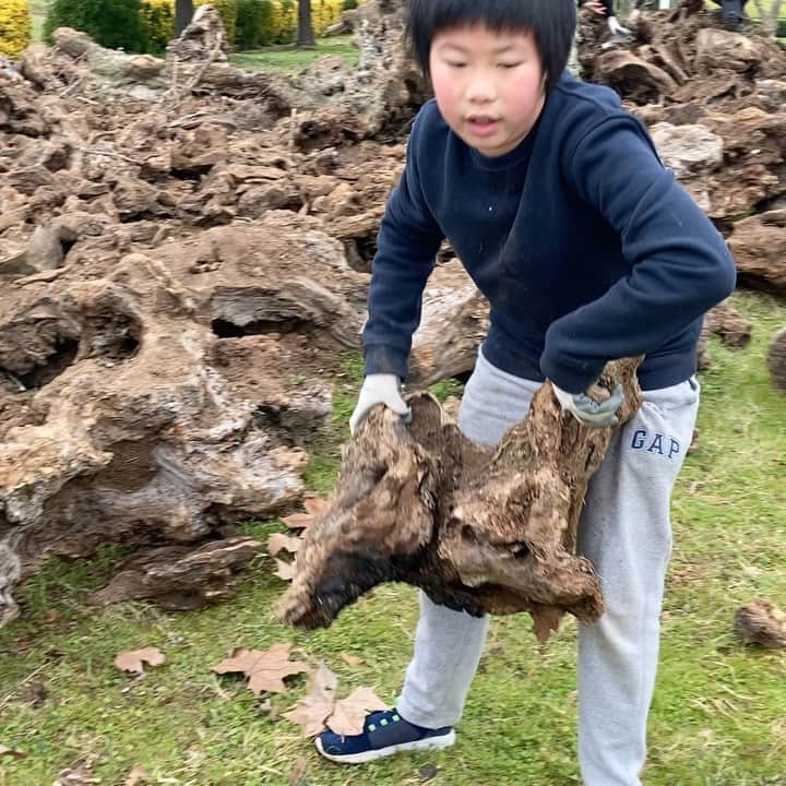 艾未未のインスタグラム