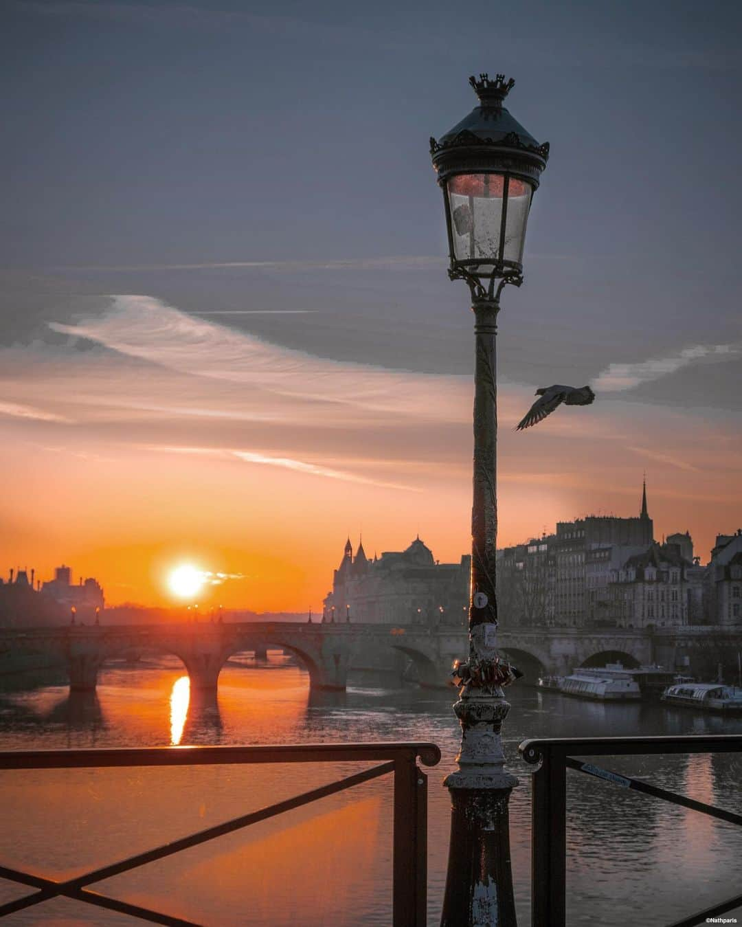 nathparisのインスタグラム：「GOLDEN MORNING ☀️ . Bon week-end 💛 . Have a nice weekend 💛」