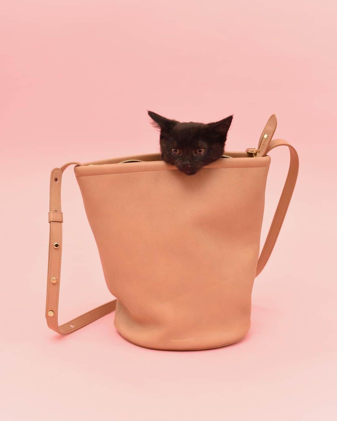 マンサー ガブリエルさんのインスタグラム写真 - (マンサー ガブリエルInstagram)「The cat’s out of the bag 🐱 our new Zip Bucket Bag is the perfect carryall for any essential — big or small   Tap to shop #mansurgavriel」1月9日 23時58分 - mansurgavriel