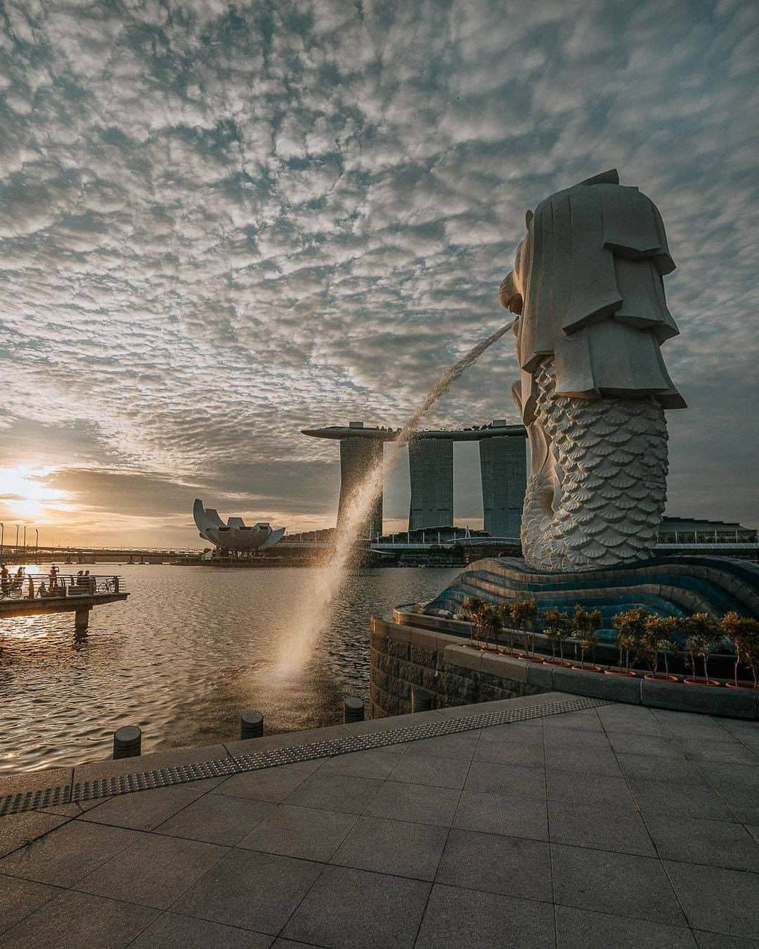 Discover Earthさんのインスタグラム写真 - (Discover EarthInstagram)「Singapore is an urban jungle!   For a hugely urban and technologically forward country, it’s nothing short of a miracle that Singapore still has an abundance of ecological enclaves for people to experience nature in different forms. A lot of these are unique and offer a fascinating chance to have an experience that is sustainable, environmentally friendly and provide some benefit in their ecological landscape.  #discoversingapore🇸🇬 with @bennytgh  . . . . .  #singapore  #igsg  #exploresingapore  #sgig  #sg  #yoursingapore  #instasg  #sgfood  #marinabaysands  #singaporean  #thisissingapore  #sglife  #visitsingapore  #sgvsco  #singaporeinsiders  #igerssingapore  #vscosg  #asia  #gardensbythebay  #gf_singapore  #sgfoodie  #싱가폴  #burpple  #sgfoodies  #sgcafe  #foodsg  #instagramsg  #singaporefood」1月10日 0時00分 - discoverearth