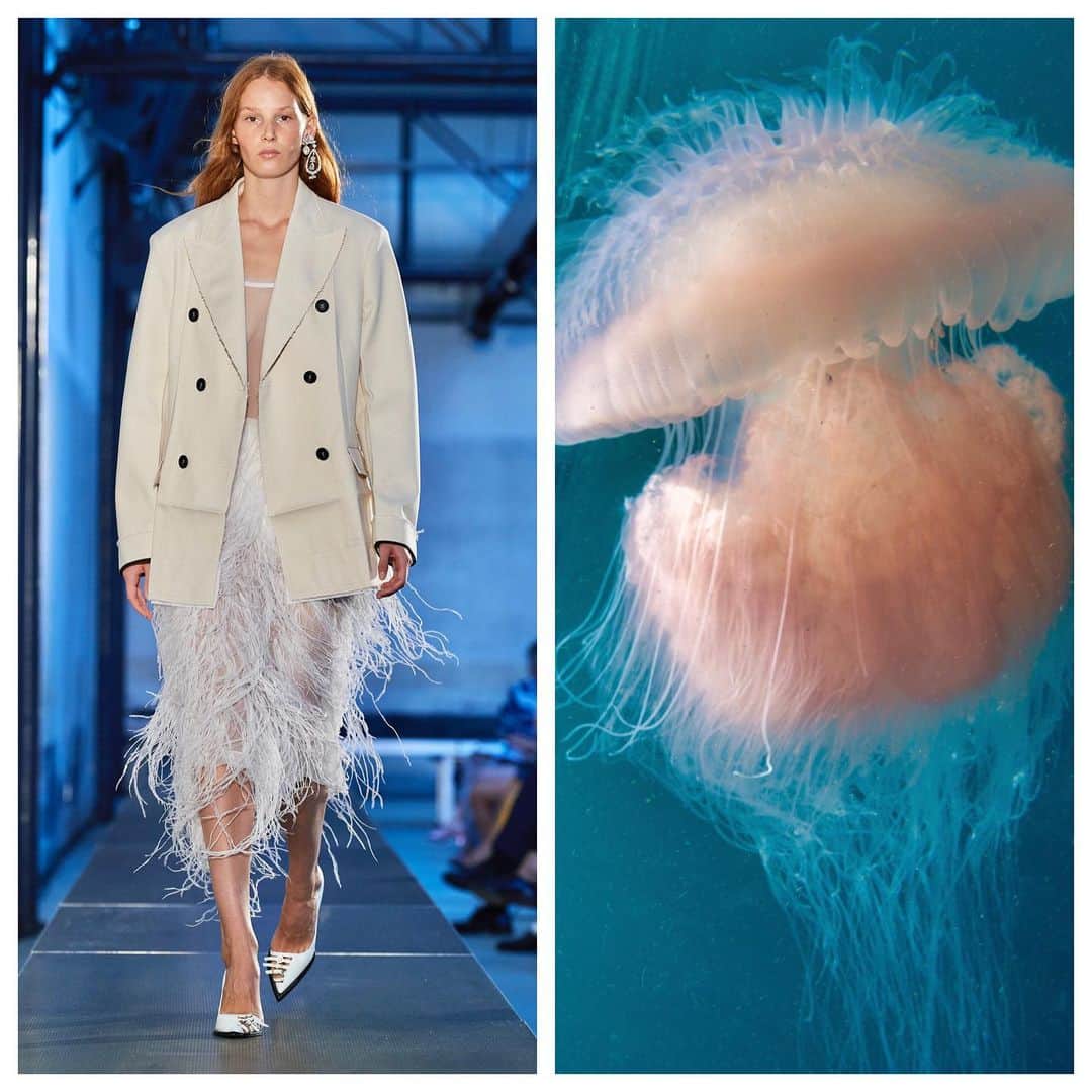 Vogue Italiaさんのインスタグラム写真 - (Vogue ItaliaInstagram)「True inspiration or beautiful coincidence? In occasion of the release of our January Issue dedicated to the beauty of the animal world, we asked @Fashion.Biologique to select ten looks from the Spring-Summer 2021 shows and compare them to nature. “The idea for my account came from a trend blog I used to write where I compared runway shows to nature.” says the artist. “But now, I also include stories about the plants and animals. There is endless inspiration in the natural world, and fashion is one of those places you often see biology and art merge in perfect harmony. I will see an outfit on the runway and be instantly reminded of something in nature. Sometimes it’s the designer’s true inspiration, but most times it’s just a beautiful coincidence.” Swipe the gallery to see more and tell us in the comments which is your favorite look/animal combination. Stay tuned for more!」1月10日 0時01分 - vogueitalia