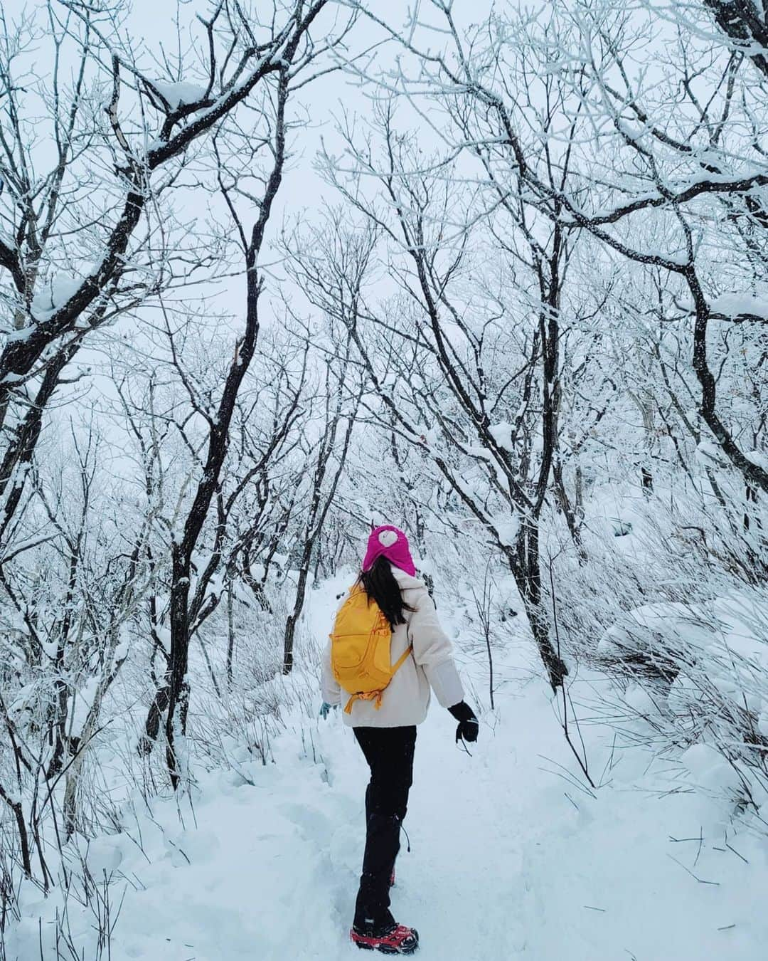 イ・シヨンさんのインスタグラム写真 - (イ・シヨンInstagram)「너무 아름다웠던❄ #덕유산 #눈꽃산행 #내얼굴도 #상고대 #frozen」1月10日 0時18分 - leesiyoung38