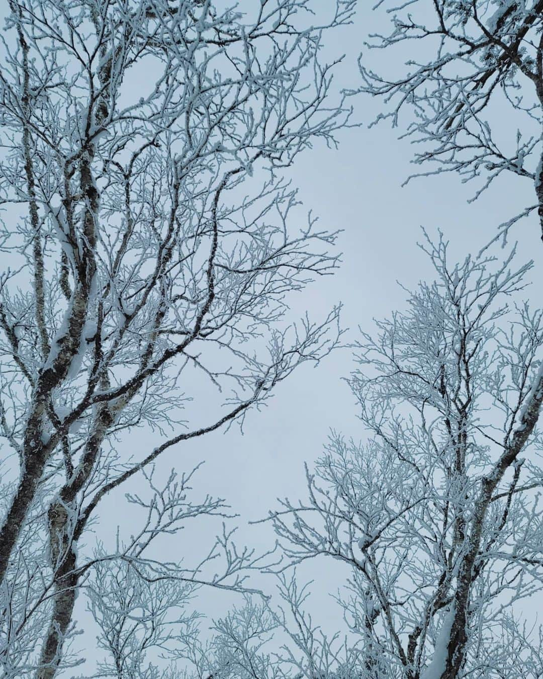 イ・シヨンさんのインスタグラム写真 - (イ・シヨンInstagram)「너무 아름다웠던❄ #덕유산 #눈꽃산행 #내얼굴도 #상고대 #frozen」1月10日 0時18分 - leesiyoung38