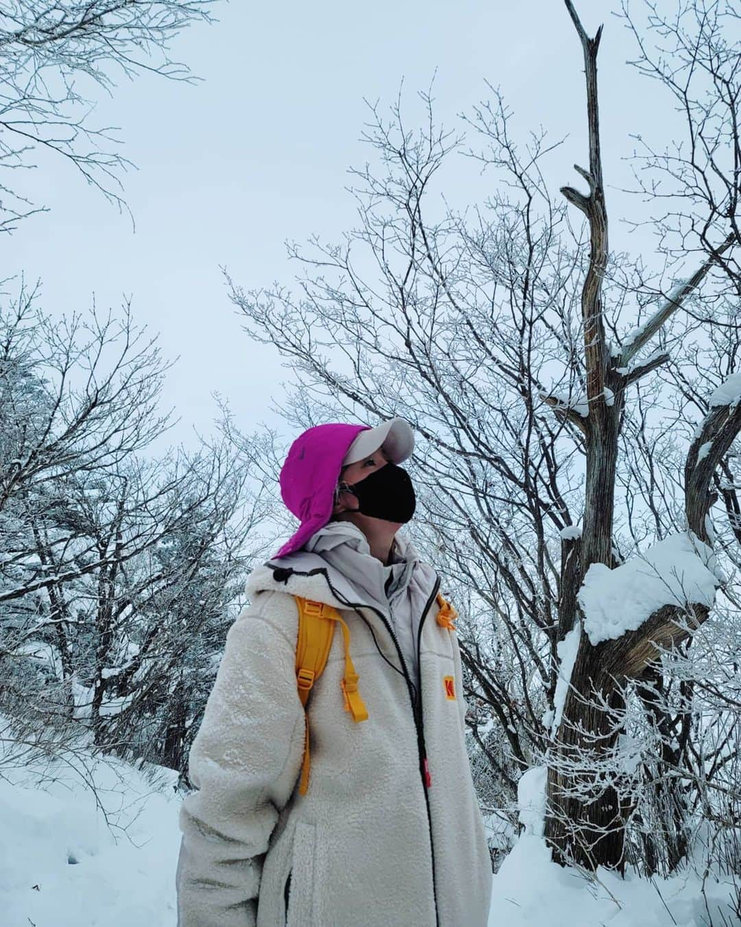 イ・シヨンさんのインスタグラム写真 - (イ・シヨンInstagram)「너무 아름다웠던❄ #덕유산 #눈꽃산행 #내얼굴도 #상고대 #frozen」1月10日 0時18分 - leesiyoung38