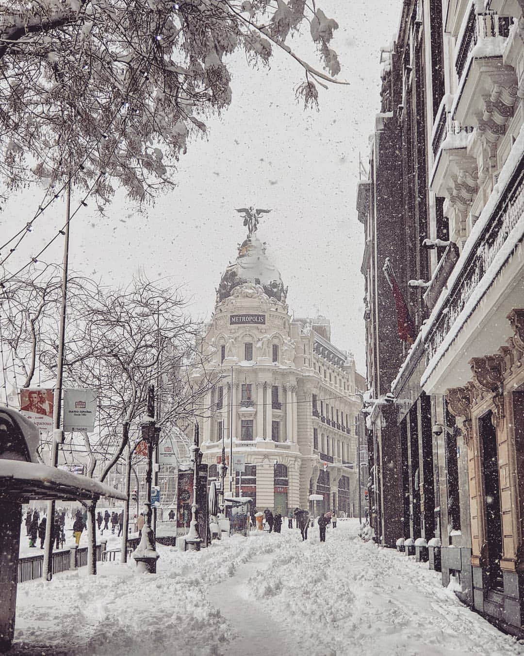 Guido Gutiérrez Ruizさんのインスタグラム写真 - (Guido Gutiérrez RuizInstagram)「• The Spirit of Winter • #Madrid」1月10日 0時33分 - guigurui