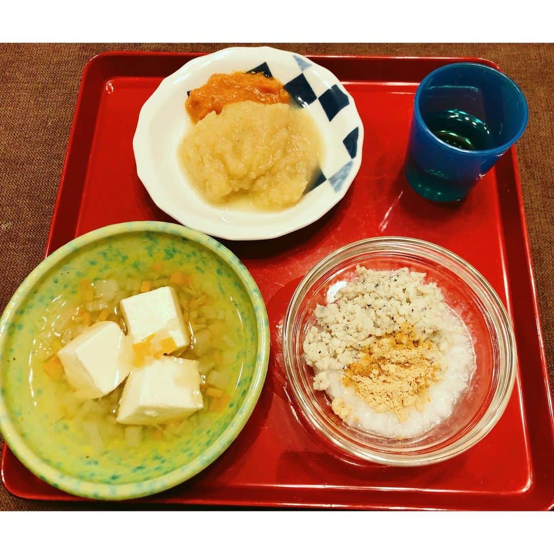 Mayuko Watanabe 渡辺真由子さんのインスタグラム写真 - (Mayuko Watanabe 渡辺真由子Instagram)「素敵なプレゼント🎁を頂きました♬ こういう外出先でも使える可愛い撥水加工のエプロンが欲しかったのです🥰 襟元がたまらない😍 @spice_maiko ちゃん、ありがとう(  ˊᵕˋ )♡ 何度か書いていますが、次男くん、良く食べてくれるので着々と離乳食が進んでいて少しずつ形あるものでも食べれるようになりました😃 この日のおかずは、 ・しらすおかゆ+きなこ ・豆腐と野菜の煮込み ・りんごとにんじんのペースト にしましたが、完食！ こんなこと長男の時なかったので笑、嬉しい気持ちもあり、まだ市販のご飯はあげないようにしようと頑張っているため（普通、長男頑張って次男手抜きなはずなのに笑）毎日2人分作るのも大変で夕方から子供達が寝るまでがバタバタすぎて記憶がない🤣 2人育児、、体力つけないとですね😅✨✨   #mama#ママ#出産#新生児#子育て中#男の子ママ#二児ママ#カジュアルコーデ#ママコーデ#授乳コーデ#令和2年ベビー#5月生まれ#生後7ヶ月#生後7ヶ月男の子#離乳食#離乳食メモ#エプロン#食事用エプロン#スタイ」1月10日 0時52分 - watanabe_mayuko