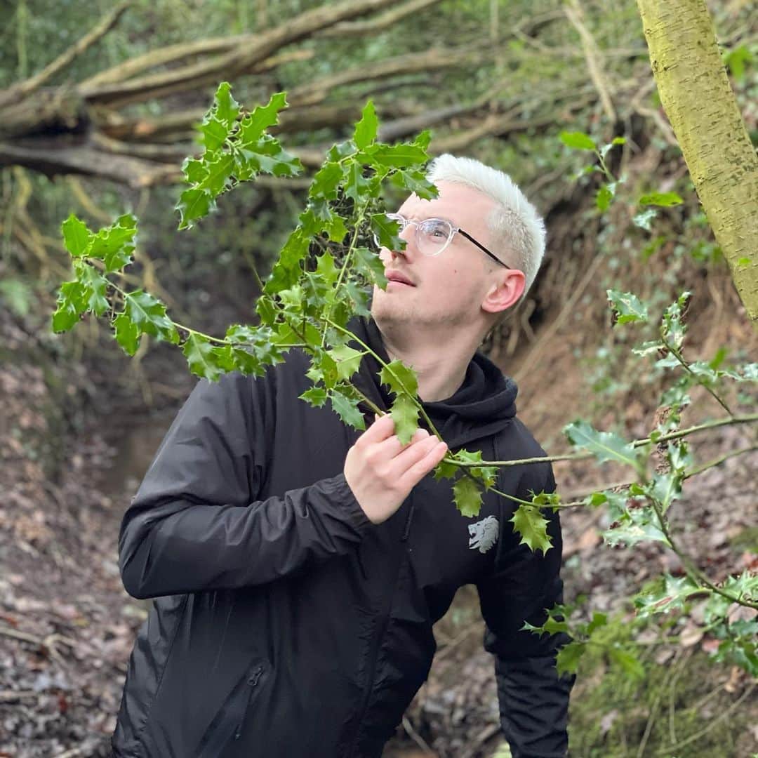 トム・キャセルのインスタグラム：「“Here we see a Syndicate in the wild”🌲」