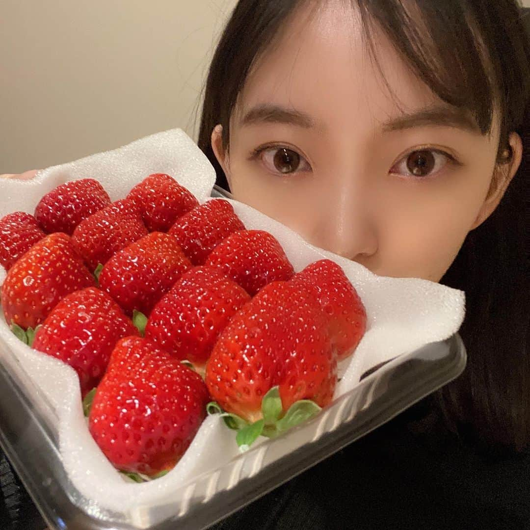 堀未央奈さんのインスタグラム写真 - (堀未央奈Instagram)「🍓🤯  最近のマイブームは お風呂でイチゴを食べながら 動画などをみてケラケラ笑うこと  #乃木坂46 #堀未央奈」1月10日 1時08分 - horimiona_official