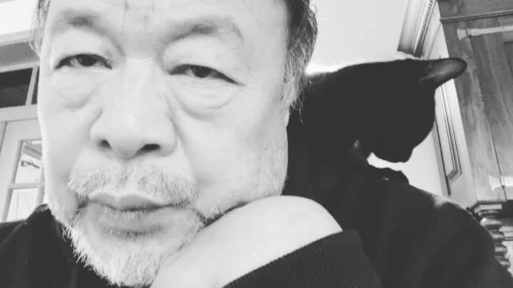 艾未未のインスタグラム