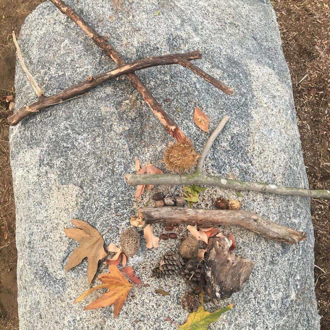 シャノン・ルシオさんのインスタグラム写真 - (シャノン・ルシオInstagram)「My son’s art  #proudmom #natureart #busylittlehands #alwayscreating」1月10日 2時11分 - shannonmlucio