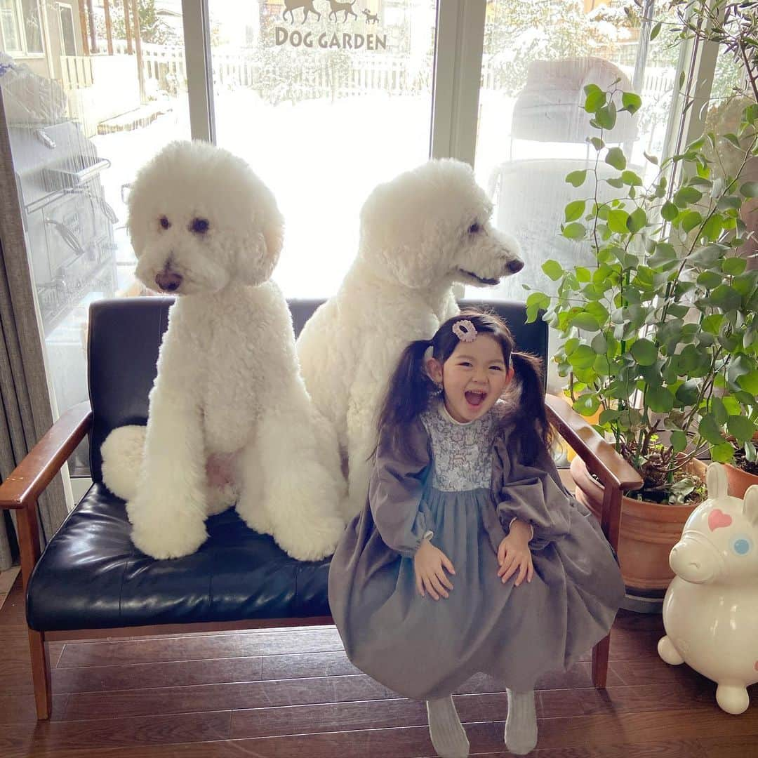 たまねぎさんのインスタグラム写真 - (たまねぎInstagram)「. . まめちゃん。 幼稚園がお休みの日は、スカートの日（笑） 最近、オシャレに目覚めてきて、すっかり女の子に( ^ω^ )  ハンドメイド子供服 @remin.baby  ずっと欲しかったのー！ まめちゃんのお友達のママのお洋服💕  偶然、インスタストーリーズの販売会発見して大興奮（笑） ずっと、マルシェに行けなくて残念ちゃんだったの😭 今回、予定していたマルシェが中止になったということで、急遽インスタで販売会をしたんだって！ ラッキーだった！ やっとゲットできた〜💕 可愛い可愛い💕 何枚か購入したので、まめちゃん、明日はなに着ようかな〜ってウキウキワクワク。 女子よね〜☺️ remin..ママさん、ありがとー💕  #standardpoodle #dog #lovedogs #スタンダードプードル #大型犬と子供 #poodle #dogstagram #いぬのいる生活 #子どもと犬  #kidsanddog #ママリ #キズナ #コドモノ #いこーよ #いぬのきもち #犬と暮らす #いぬなしでは生きていけません #ハンドメイドこども服 #remin」1月10日 2時48分 - tamanegi.qoo.riku