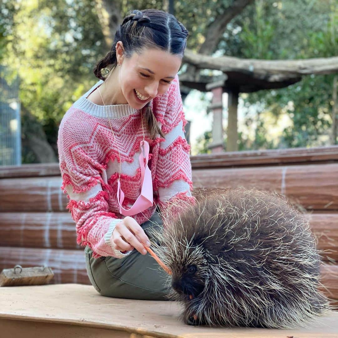 アロナ・タルのインスタグラム