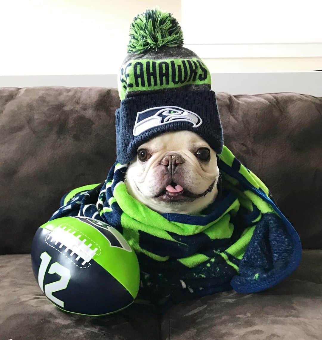 Sir Charles Barkleyのインスタグラム：「You know what time it is!! #gohawks #12s #twelfie #12thdog」
