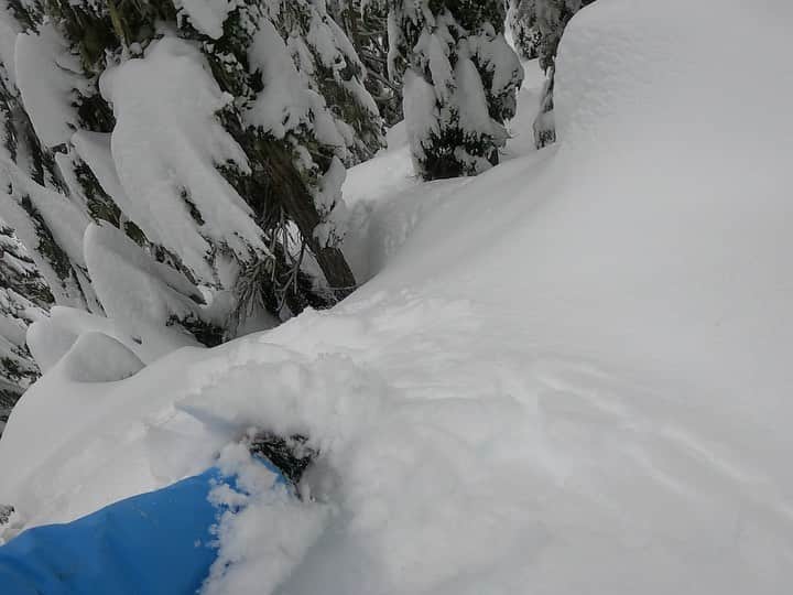 ジェイミー・アンダーソンのインスタグラム：「Thank you! ❄️🙌❄️ it’s been the best pre-season I’ve ever had! #grateful #powrich #canada #jalivingthedream #happynewyear #goprohero9 @gopro」