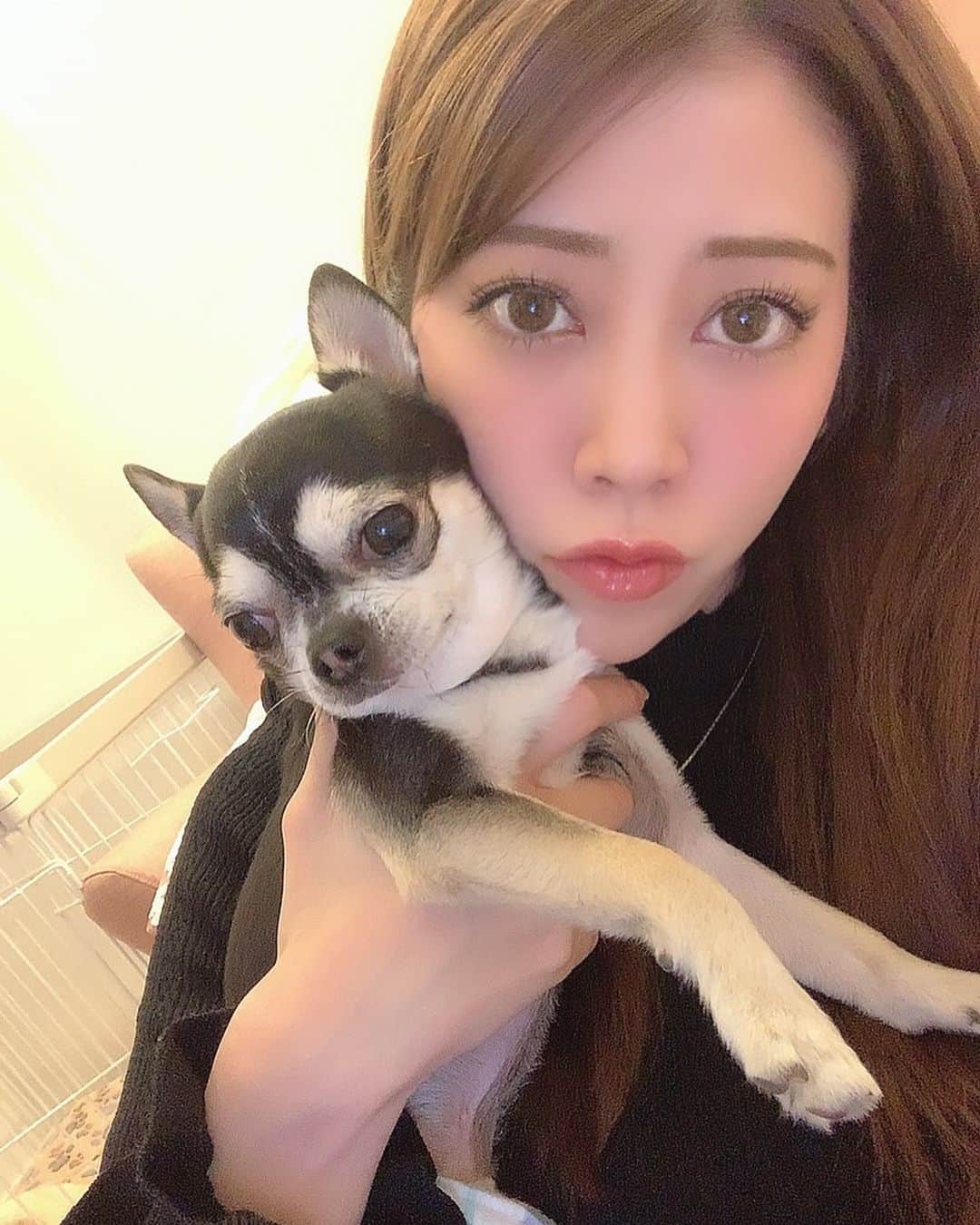薄井美樹のインスタグラム：「．     おはよう☀️  バンビぜんぜん 嬉しそうな顔じゃない🤪🤪     ．」