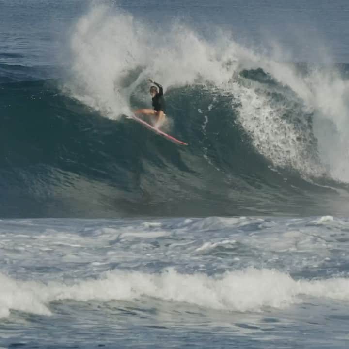 カリッサ・ムーアのインスタグラム：「Doesn’t get much better than mornings like this one at my favorite spot on the north shore 🥰 video/ @swellpatrol music/ In It To Win- Judson Crane ... @vanstriplecrownsurf」