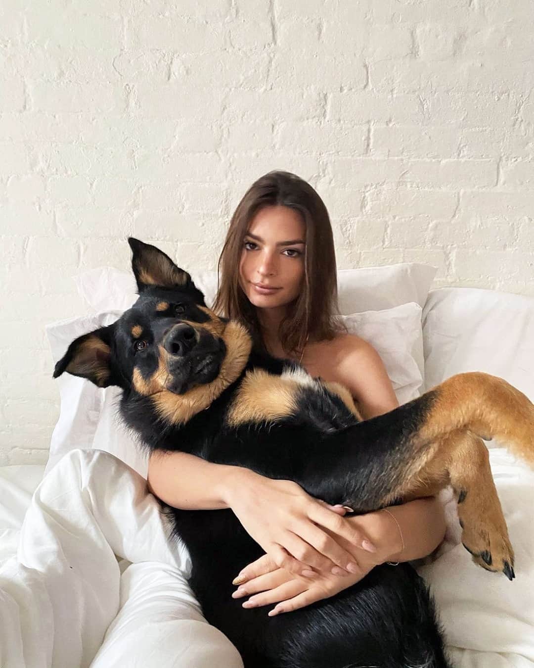 Vogue Australiaさんのインスタグラム写真 - (Vogue AustraliaInstagram)「Even when dressed in off-the-runway ensembles or sporting the latest designer accessory, the mere presence of a cute dog is enough to steal the spotlight from any celebrity (just ask #EmilyRatajkowski and her fur-baby Colombo). At the link in bio, Vogue rounds up the most famous four-legged pets to follow, courtesy of their celebrity owners.⁣ ⁣ 📷 @emrata」1月10日 6時21分 - vogueaustralia
