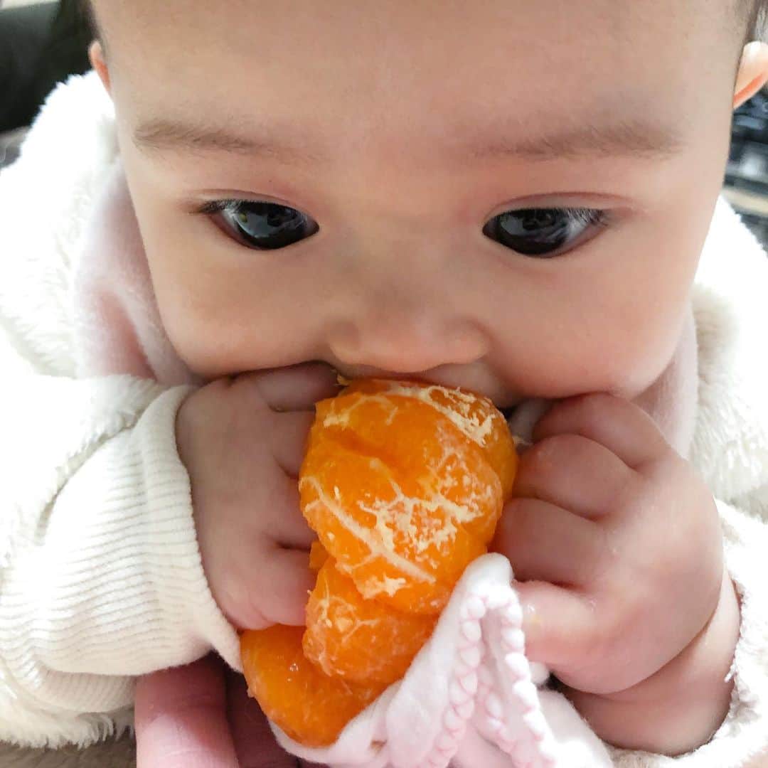 遠山雄也のインスタグラム：「#RELAXX . . はい、おはよう😃 今日も元気にサロンワーク✂︎ . . 🍊🧡 . . . #生後206日 #女の子ベビー . . . . #育児記録 #子供のいる暮らし . . #遠山雄也 #ヘアメイク . . ✂︎✂︎✂︎✂︎✂︎✂︎✂︎✂︎✂︎✂︎ RELAXXではスタッフを募集しています ✂︎✂︎✂︎✂︎✂︎✂︎✂︎✂︎✂︎✂︎ #美容師募集 #スタイリスト募集 #アシスタント募集 #ヘアメイク募集」