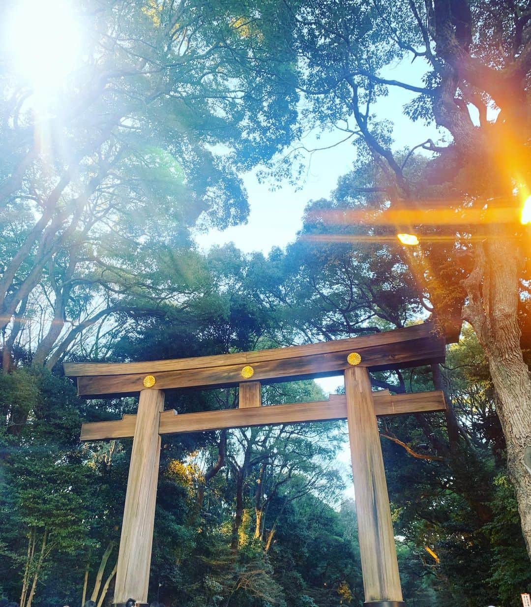 れみれみさんのインスタグラム写真 - (れみれみInstagram)「初の明治神宮⛩鳥居大きくてかっこよかったし緑もいっぱいで空気も綺麗だった🧚🏻‍♀️💚♥️ ・ #歌舞伎町 #アジアンクラブ #キャバ #新年 #初詣 #明治神宮 #2021 #おめでとう #れみ #れみれみ」1月10日 17時00分 - remiremi122